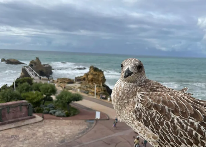 Nomad Biarritz